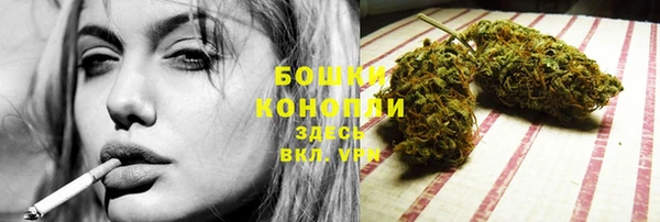 ГАЛЛЮЦИНОГЕННЫЕ ГРИБЫ Беломорск