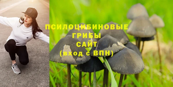 ГАЛЛЮЦИНОГЕННЫЕ ГРИБЫ Беломорск