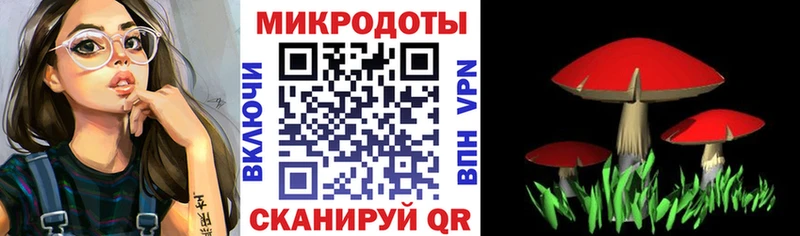 MEGA ONION Кущёвская Псилоцибиновые грибы Psilocybe